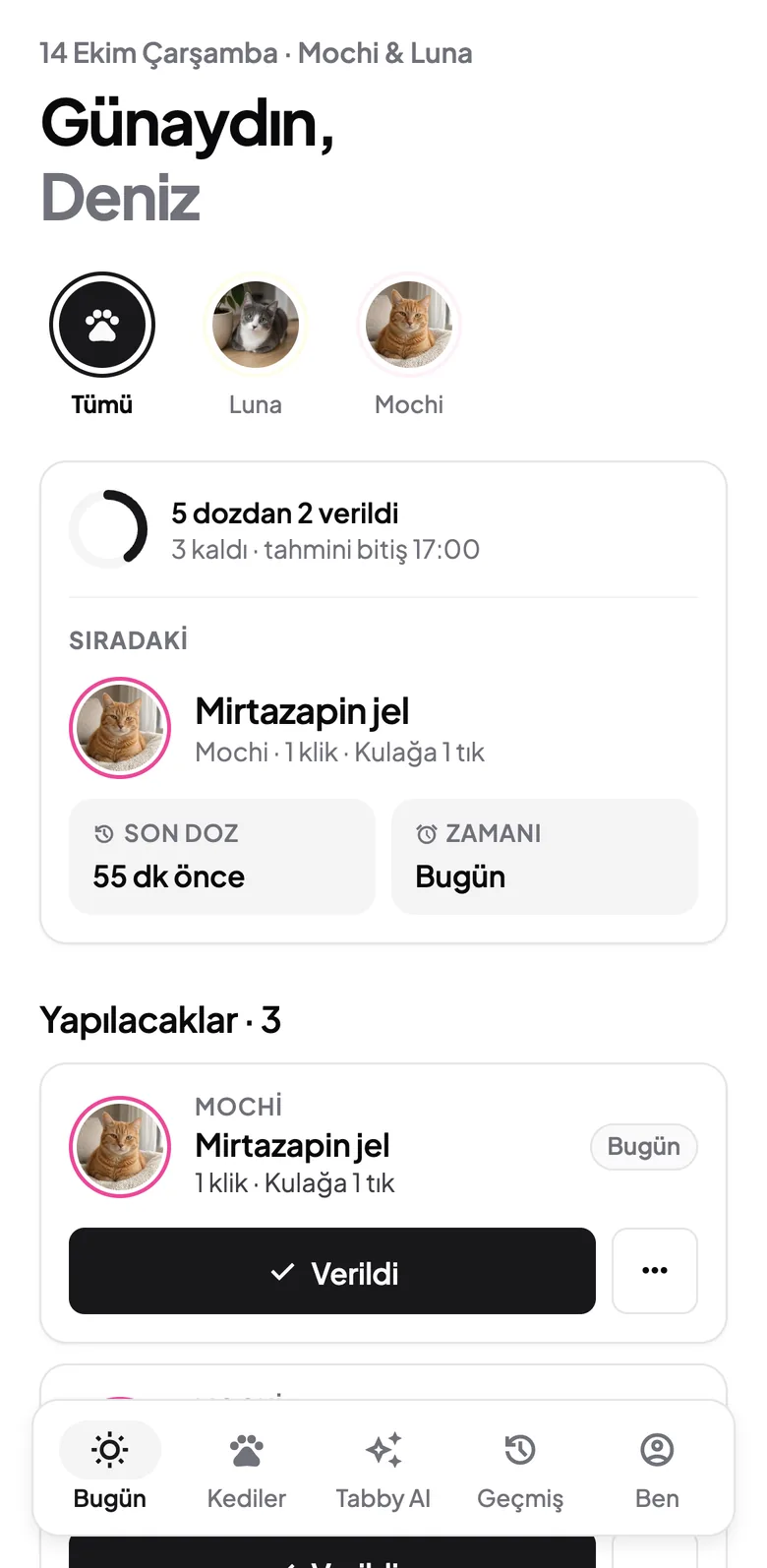 Tabby'nin Bugün ekranında günün kedi ilaç dozları