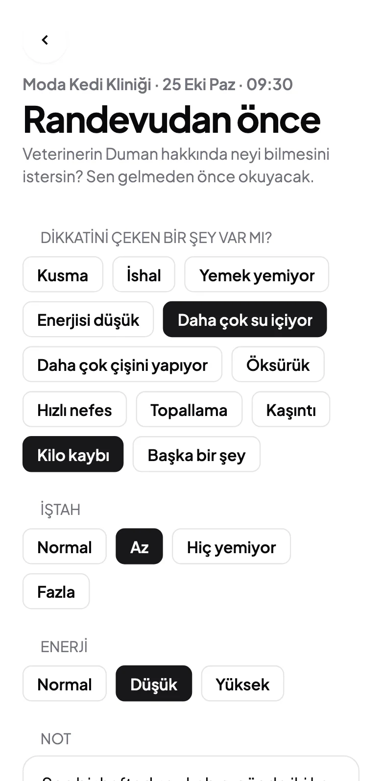 Kedi sahibinin telefonunda randevu öncesi form: işaretlenen belirtiler, iştah, enerji ve bir not.