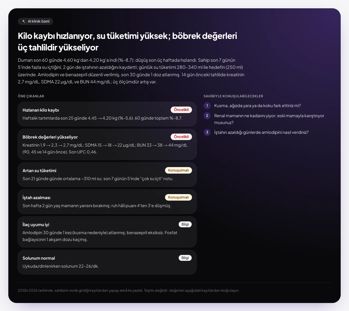 Yapay zekâ klinik özeti: hızlanan kilo kaybı ve yükselen böbrek değerleri, öne çıkanlar ve sahibe sorulabilecek sorular.